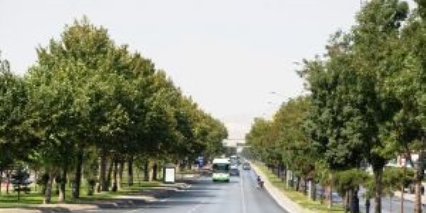 Osmankavuncu Parkına bakanlık desteği