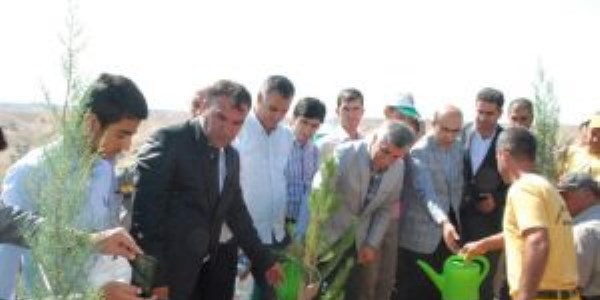 Yeşil Adıyaman için ağaçlandırma çalışmaları başladı