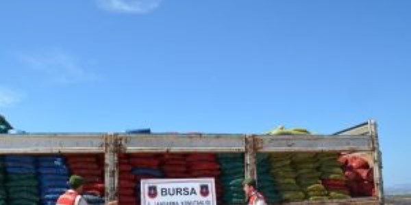 Bursa'da tonlarca kaçak midye ele geçirildi