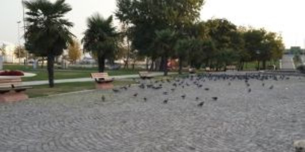 Sokak hayvanlarına otomatik su makinesi