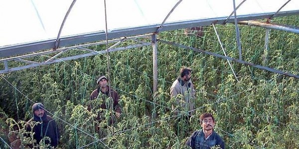 Meteorolojiden zirai don uyarısı