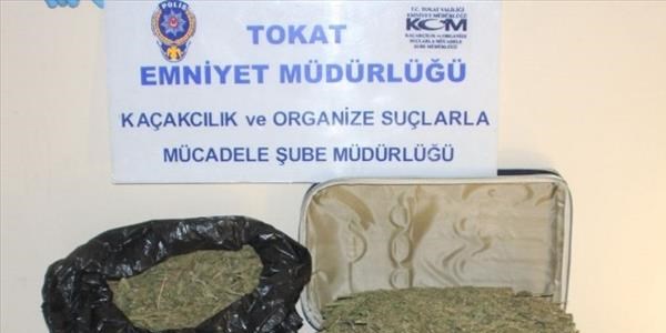 Tokat'ta eş zamanlı operasyonda 14 tutuklama