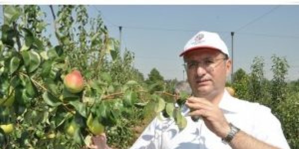Keşan'ın meyveci kaymakamı