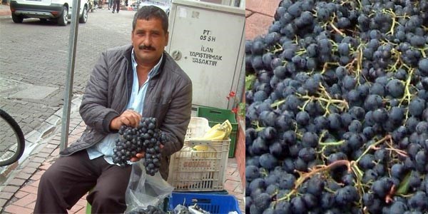 Şifa kaynağı kara üzüme yoğun ilgi