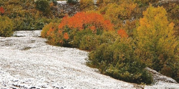 Kar Posof'a ayrı bir güzellik kattı