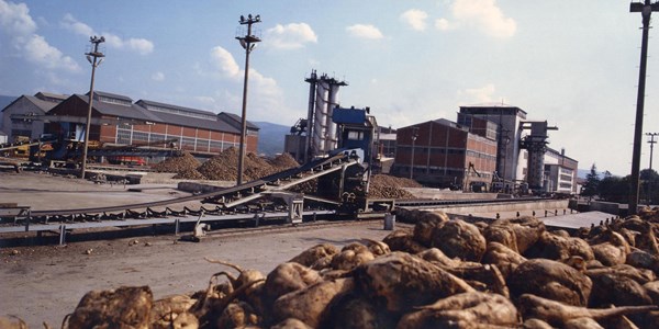 Anayasa Mahkemesi, özelleştirmedeki son sözü yine yargıya verdi