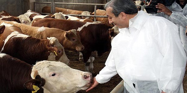 Kurban Bayramı için hayvan sıkıntısı yok