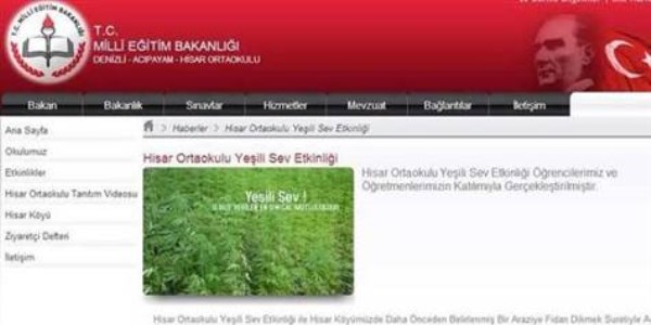 Okulun internet sitesinde 'kenevir bitkisi' fotoğrafı