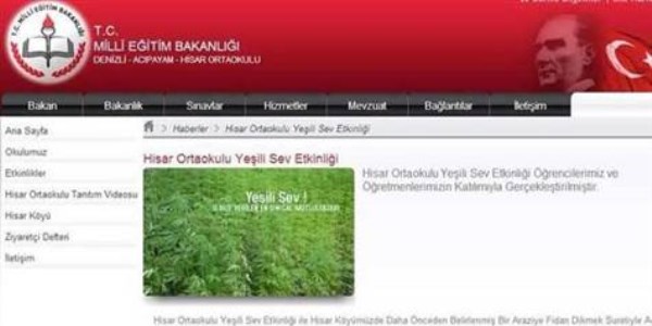 Okulun internet sitesinde 'kenevir bitkisi' fotoraf