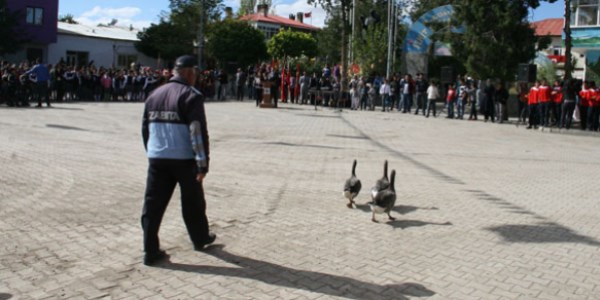 Kazlar tören alanını bastı
