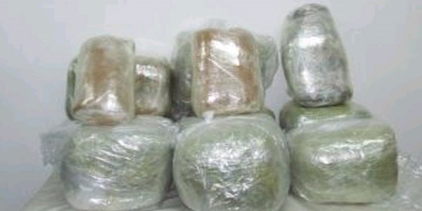 Yolcu otobüsünde 14 kilo esrar ele geçirildi