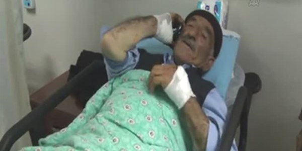 Bingöl'de yaşlı adam kendisine saldıran kurdu taşla öldürdü