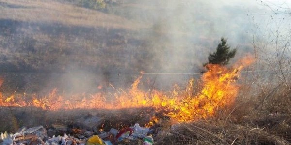 Yalova'da korkutan çalı yangını
