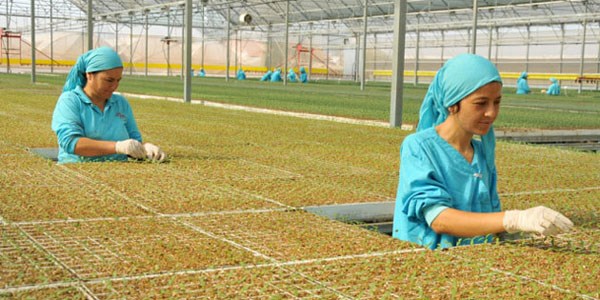 İstihdamda yoksula öncelik