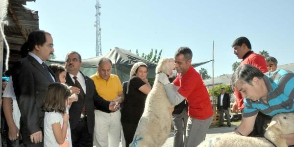 Yoksul ailelere kurbanlık hediye edildi