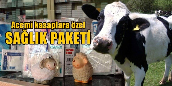 Acemi kasaplara özel sağlık paketi