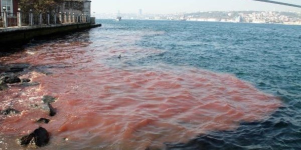 İstanbul Boğazı yine kan gölüne döndü