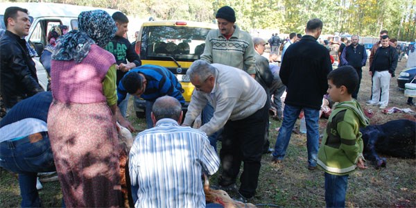 Tokat'ta 57 acemi kasap hastanelik oldu