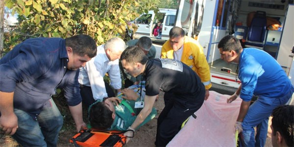Ordu'da trafik kazası: 2 yaralı