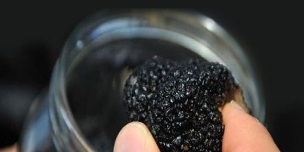 Kilosu 2 bin ?'ya çıktı, Türkiye harekete geçti