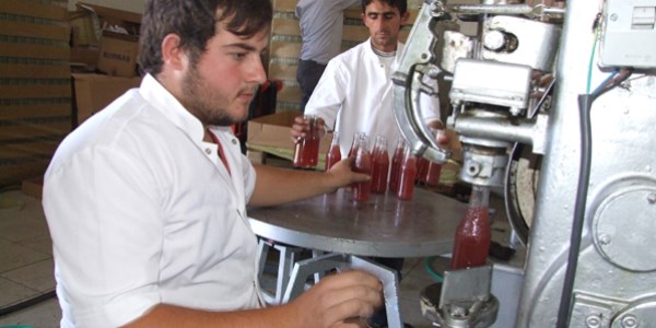 Şaraptan kazanamayınca üzüm suyu ürettiler