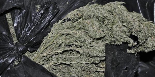 Siverek'te 103 kilo esrar ele geçirildi