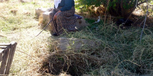 Sarktığı kuyuda sıkışıp öldü