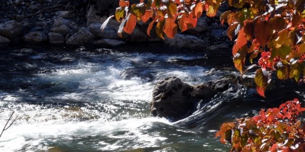 Tunceli'de sonbahar bir başka güzel