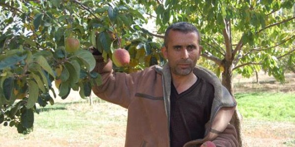 Ayvanın kırmızısını da gördük...!