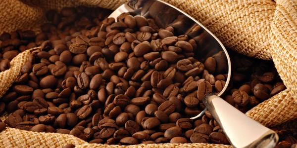 Kahve, karaciğere iyi geliyor