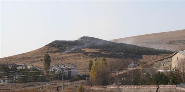 Kars'ta jandarma hatıra ormanı yandı
