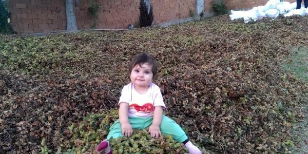 Minik Belinay yaşam mücadelesi veriyor