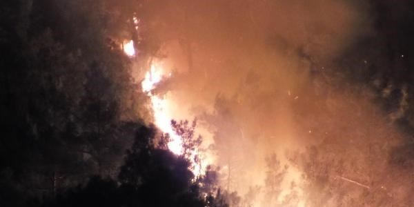 Bozyazı'da orman yangını