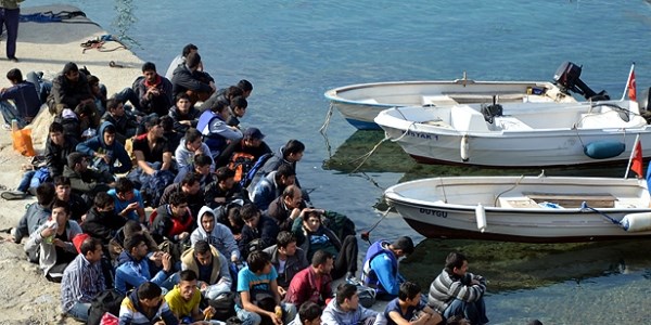 Bodrum'da kaçak operasyonu