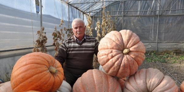 Dev kabakları satamayınca üretimi azalttı