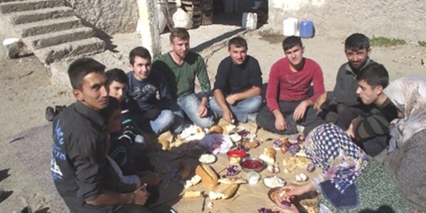 Üniversite öğrencileri okul harçlığı çıkarmak için elma topluyor