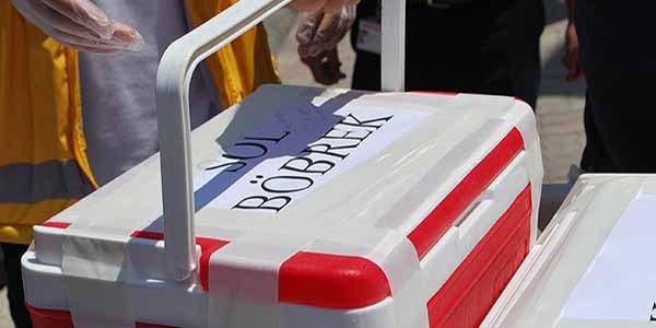 60 bin kişi kronik böbrek yetmezliği hastası