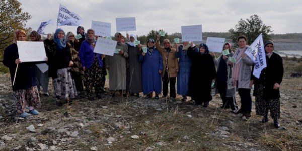 Keçili, koyunlu, inekli taş ocağı tepkisi