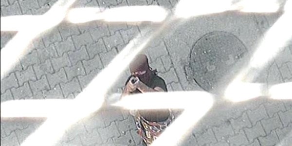 Şırnak'ta polise ateş açan 1 kişi tutuklandı