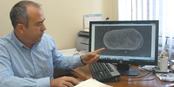 Suda yeni bir canlı türü keşfedildi