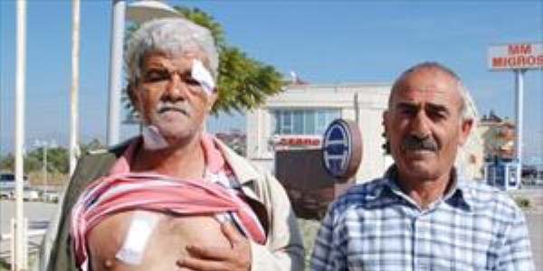 Camide namaz kılan Alman, abdest alan 2 kişiyi bıçakladı
