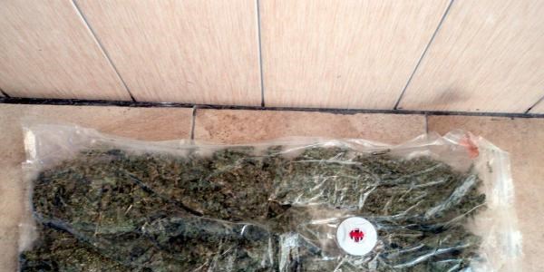 Otobüs yolcusunun sırtına sarılmış 1 kilo esrar ele geçti