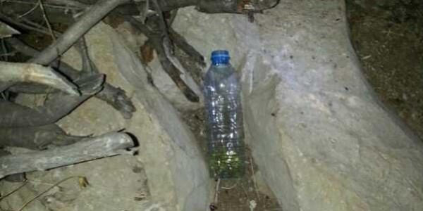 Emniyet binasına molotoflu saldırı