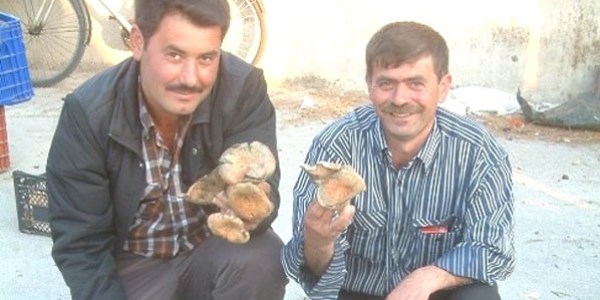Pazar harçlığını Melki'den çıkartıyor