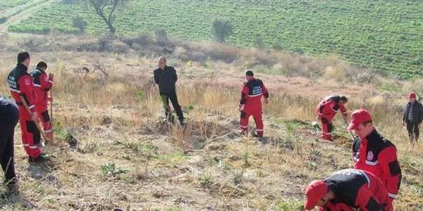 Sivil savunmacılar fidan dikti