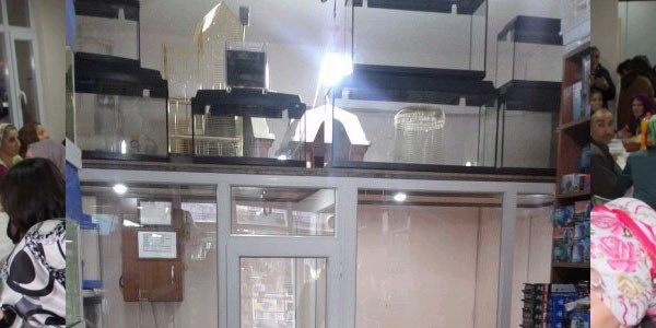 Ev ve süs hayvanları satış yerlerine yeni izinler