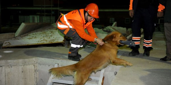 Rüzgar'ı sınav heyecanı sardı