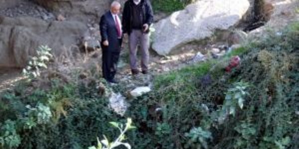 Edremit Çayı'ndaki ölü balıklar için inceleme başlatıldı