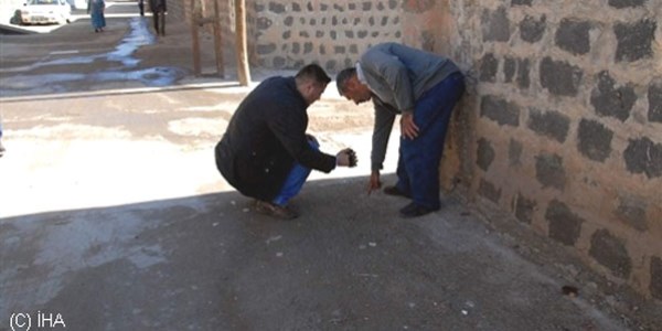 İlçe merkezine inen domuz, vatandaşa saldırdı