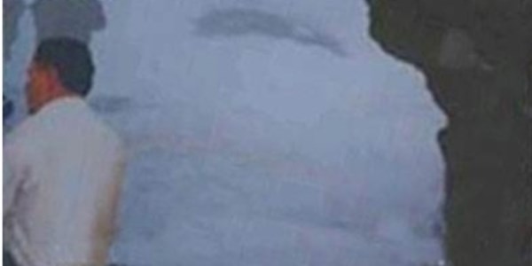 Muhsin Yazıcıoğlu'nun oğlu: O görüntüler fotomontaj